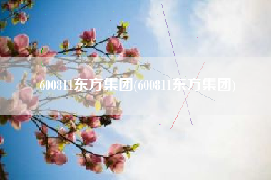 详细阅读:600811东方集团(600811东方集团) 600811东方集团(600811东方集团)