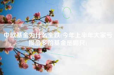 中欧基金为什么全跌(今年上半年大家亏损最多的基金是哪只)