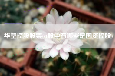 华塑控股股票(st股中有哪些是国资控股)
