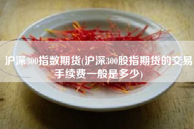 沪深300指数期货(沪深300股指期货的交易手续费一般是多少)