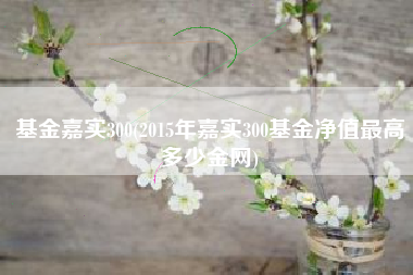 基金嘉实300(2015年嘉实300基金净值最高多少金网)