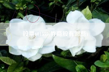 股票601555(券商股有哪些)