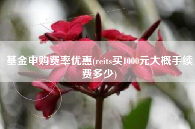 基金申购费率优惠(reits买1000元大概手续费多少)