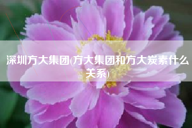深圳方大集团(方大集团和方大炭素什么关系)