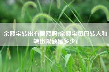 余额宝转出有限额吗(余额宝每日转入和转出限额是多少)