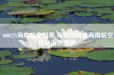 600221海南航空股票(海航控股是海南航空还是海航集团)