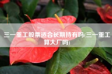三一重工股票适合长期持有吗(三一重工算大厂吗)