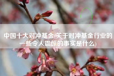 中国十大对冲基金(关于对冲基金行业的一些令人震惊的事实是什么)