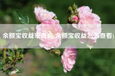 余额宝收益率查询(余额宝收益怎么查看)