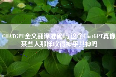 CHATGPT全文翻译准确吗,这个ChatGPT真像某些人那样吹得神乎其神吗