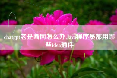 chatgpt老是断网怎么办,Java程序员都用哪些idea插件