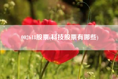 002618股票(科技股票有哪些)
