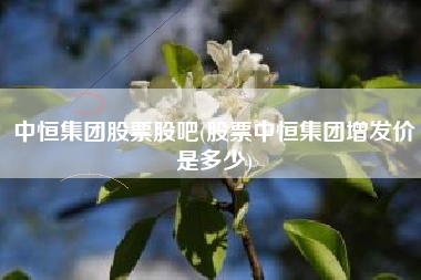 中恒集团股票股吧(股票中恒集团增发价是多少)