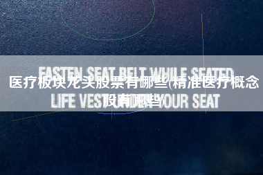 医疗板块龙头股票有哪些(精准医疗概念股有哪些)