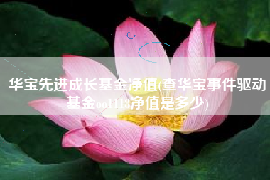 华宝先进成长基金净值(查华宝事件驱动基金oo1118净值是多少)