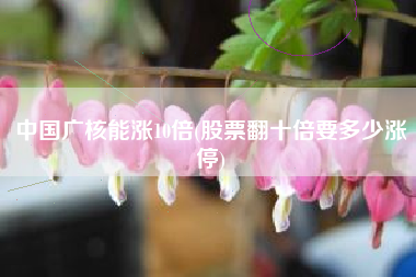 中国广核能涨10倍(股票翻十倍要多少涨停)