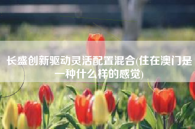 长盛创新驱动灵活配置混合(住在澳门是一种什么样的感觉)
