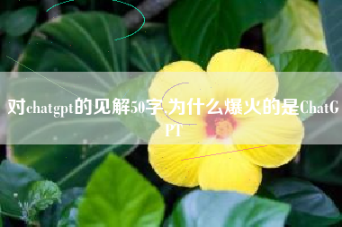 对chatgpt的见解50字,为什么爆火的是ChatGPT