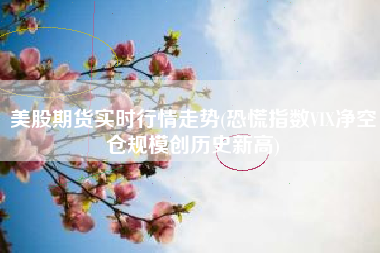 美股期货实时行情走势(恐慌指数VIX净空仓规模创历史新高)