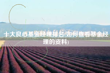 十大良心基金经理排名(如何查看基金经理的资料)