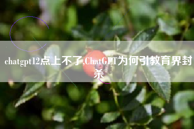 chatgpt12点上不了,ChatGPT为何引教育界封杀