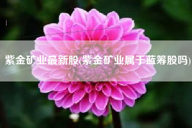 紫金矿业最新股(紫金矿业属于蓝筹股吗)
