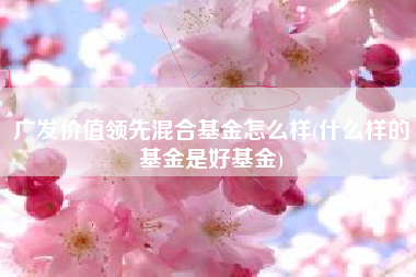 广发价值领先混合基金怎么样(什么样的基金是好基金)