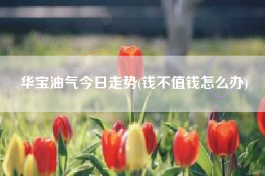 华宝油气今日走势(钱不值钱怎么办)