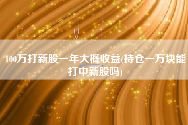 100万打新股一年大概收益(持仓一万块能打中新股吗)