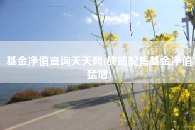 基金净值查询天天网(战略配售基金净值猛增)