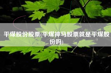 平煤股份股票(平煤神马股票就是平煤股份吗)
