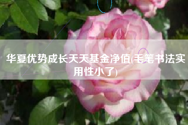 华夏优势成长天天基金净值(毛笔书法实用性小了)