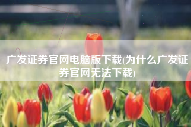 广发证券官网电脑版下载(为什么广发证券官网无法下载)