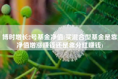 博时增长2号基金净值(买混合型基金是靠净值增涨赚钱还是靠分红赚钱)