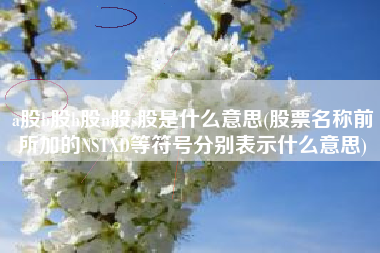 a股b股h股n股s股是什么意思(股票名称前所加的NSTXD等符号分别表示什么意思)