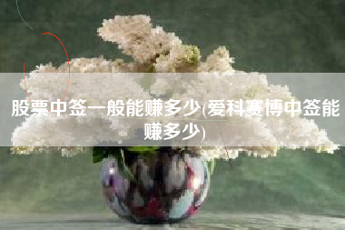 股票中签一般能赚多少(爱科赛博中签能赚多少)