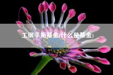 工银平衡基金(什么是基金)