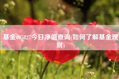 基金005827今日净值查询(如何了解基金理财)