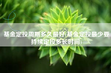 基金定投周期多久最好(基金定投最少要持续定投多长时间)