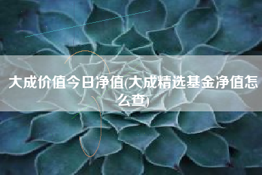 大成价值今日净值(大成精选基金净值怎么查)