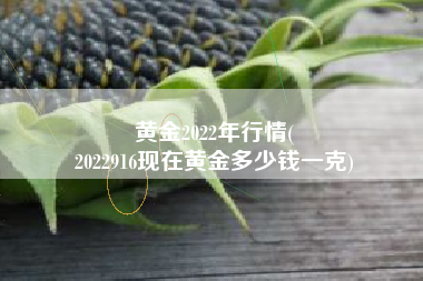 黄金2022年行情(
2022916现在黄金多少钱一克) 黄金2022年行情(
2022916现在黄金多少钱一克)