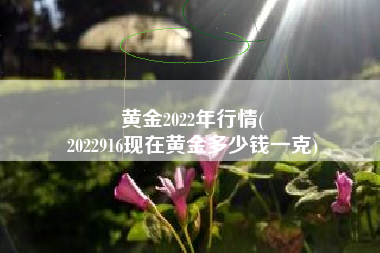 黄金2022年行情(
2022916现在黄金多少钱一克) 黄金2022年行情(
2022916现在黄金多少钱一克)