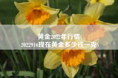 黄金2022年行情(
2022916现在黄金多少钱一克) 黄金2022年行情(
2022916现在黄金多少钱一克)