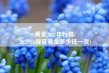 黄金2022年行情(
2022916现在黄金多少钱一克) 黄金2022年行情(
2022916现在黄金多少钱一克)