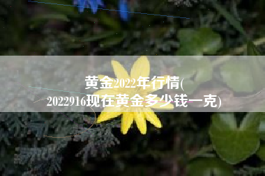 黄金2022年行情(
2022916现在黄金多少钱一克) 黄金2022年行情(
2022916现在黄金多少钱一克)