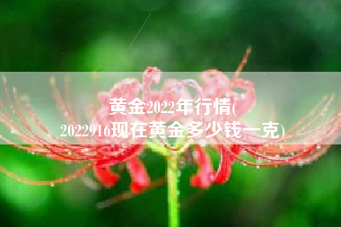 黄金2022年行情(
2022916现在黄金多少钱一克) 黄金2022年行情(
2022916现在黄金多少钱一克)