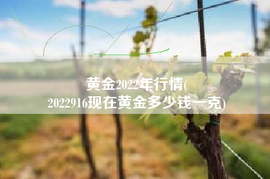 黄金2022年行情(
2022916现在黄金多少钱一克) 黄金2022年行情(
2022916现在黄金多少钱一克)