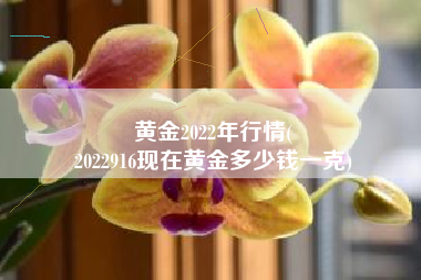 黄金2022年行情(
2022916现在黄金多少钱一克) 黄金2022年行情(
2022916现在黄金多少钱一克)