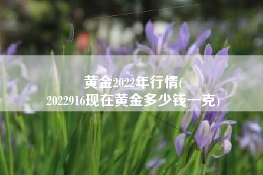 黄金2022年行情(
2022916现在黄金多少钱一克) 黄金2022年行情(
2022916现在黄金多少钱一克)