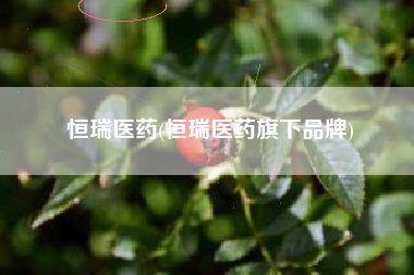 恒瑞医药(恒瑞医药旗下品牌)